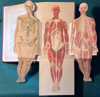 Praktisk l&auml;karebok f&ouml;r svenska hem