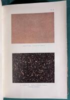 Sveriges geologiska unders&ouml;kning - &Aring;rsbok 1907, motsvarande n:o 204-208 af ser. C. (afhandlingar och uppsatser) [sammanbunden med] Sveriges geologiska unders&ouml;kning - &Aring;rsbok 1908, motsvarande n:o 209-217 af ser. C. (afhandlingar och uppsatser)