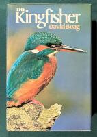 The kingfisher