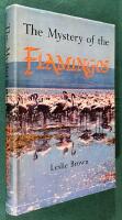 The mystery of the flamingos