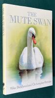 The mute Swan