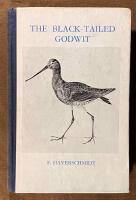 The black-tailed godwit
