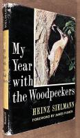My year with the woodpeckers