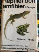 Reptiler och amfibier i Europa : en best&auml;mningsbok