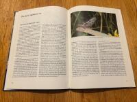 Dagsl&auml;ndor - Fr&aring;n nymf till spent spinner