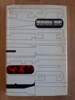 Sociological theory : An introduction 