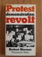 Protest demonstration revolt