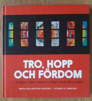 Tro, hopp och f&ouml;rdom - religion som resurs i m&ouml;tet med den andra
