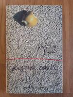 Palestinsk oskuld : roman