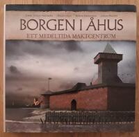 Borgen i Åhus : ett medeltida maktcentrum