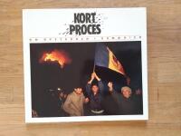 Kort process : Om opstandelsen i Rumaenien