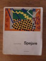 Spejare : En ess&auml; om konst