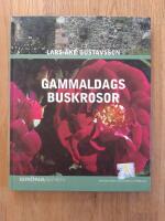 Gammaldags buskrosor