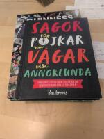 Sagor f&ouml;r pojkar som v&aring;gar vara annorlunda