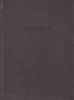Husbibeln : m&ouml;ten med g&aring;rdar