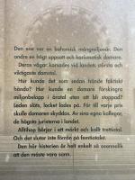 Domardansen : en sannsaga om maktmissbruk