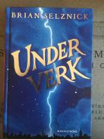 Underverk : en roman i ord och bilder