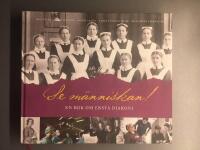 Se m&auml;nniskan! : en bok om Ersta diakoni