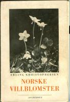 Norske Villblomster