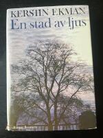 En stad av ljus : [roman]