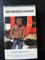 Den f&ouml;rlorade jaguaren