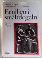 Familjen i sm&auml;ltdegeln : upplevelser fr&aring;n familjeterapi