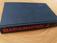 Den m&ouml;rka &auml;ngeln