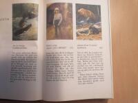 Det B&auml;stas Bokval 163