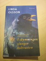 I skymningen sjunger koltrasten