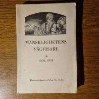 M&auml;nsklighetens V&auml;gvisare 2