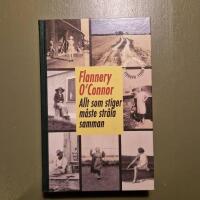 Allt som stiger m&aring;ste str&aring;la samman