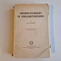 Johannes-Evangeliet - En verklighetsskildring