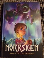 Norrsken: Resan till Jotundalen (Del 1)