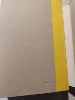 &Ouml;vervakningskapitalismen : vid maktens nya frontlinjer