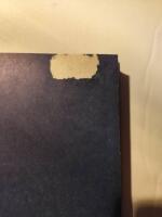 Tusen och en natt del 2