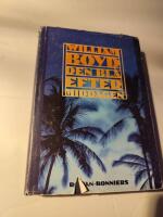 Den bl&aring; eftermiddagen : [roman]