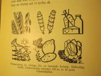 Husmoderns nya l&auml;karbok f&ouml;r kvinnor