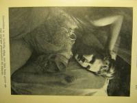 Husmoderns nya l&auml;karbok f&ouml;r kvinnor