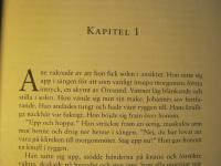 Coloradodr&ouml;mmar : roman