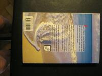 Strandmannen : roman