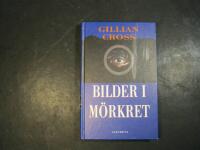 Bilder i m&ouml;rkret