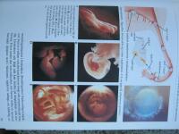 Bonniers l&auml;karbok