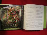 Kl&auml;tterv&auml;xter