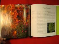 Kl&auml;tterv&auml;xter