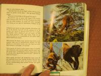 Mitt gr&ouml;na paradis