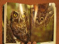 Mitt gr&ouml;na paradis