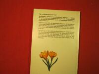 V&aring;rblommande l&ouml;k- och kn&ouml;lv&auml;xter