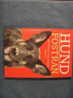 Hundfostran