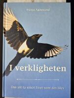 I verkligheten : om att ta emot livet som det blev