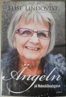 &Auml;ngeln p&aring; Malmskillnadsgatan